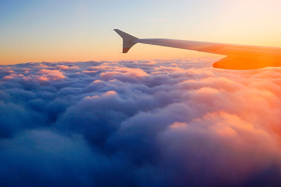 SITA Advance Passenger Processing Whitepaper